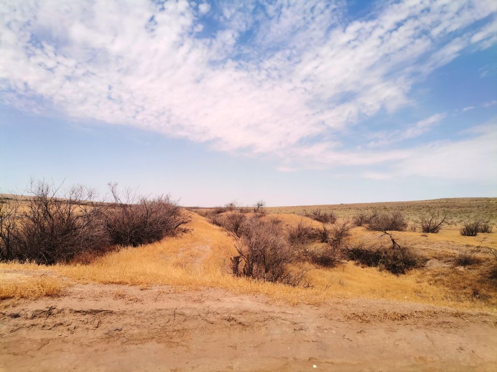 o que causa o processo de desertificação